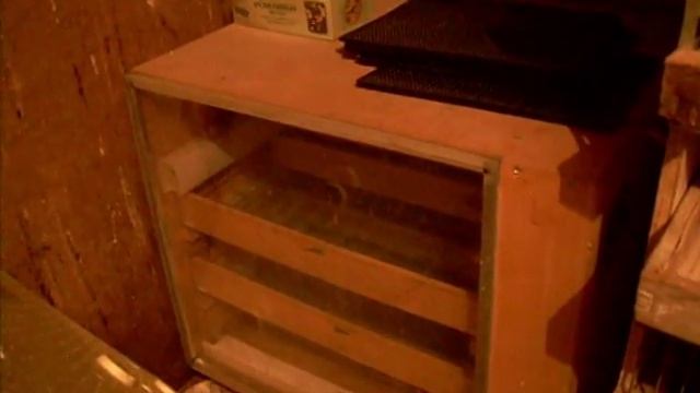 Мое мнение о инкубаторах смотреть онлайн