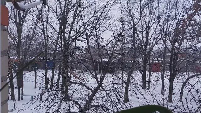 Синички смотреть онлайн