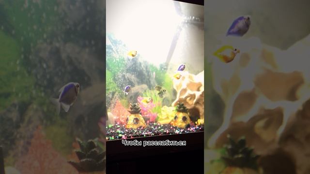 Зона ожидания 🙌🏼