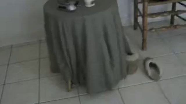 Stalker song music video смотреть онлайн