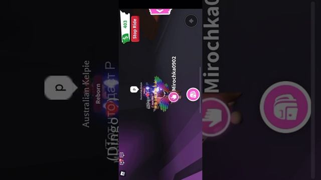 Полина ТВ!!!!! Она подарила мне пета Р смотреть онлайн