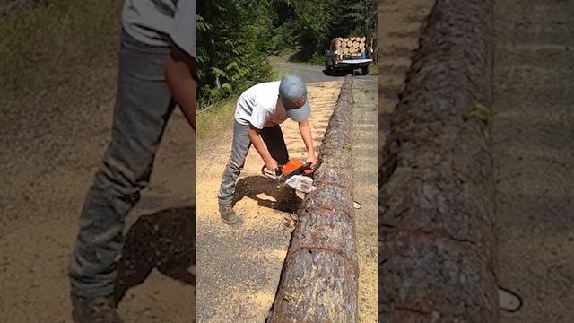 Бензопила Stihl MS 170 или 180? #stihl #инструмент #дача смотреть онлайн