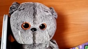 Типы Басиков