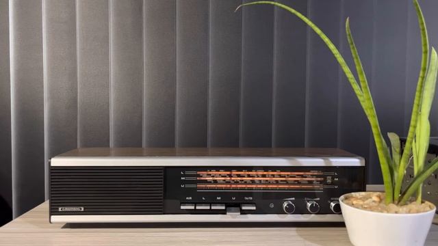 Grundig RF450 Vintage Radio | 1971 | FM Experience | You’re still new to me | Cryptone Stereo смотреть онлайн