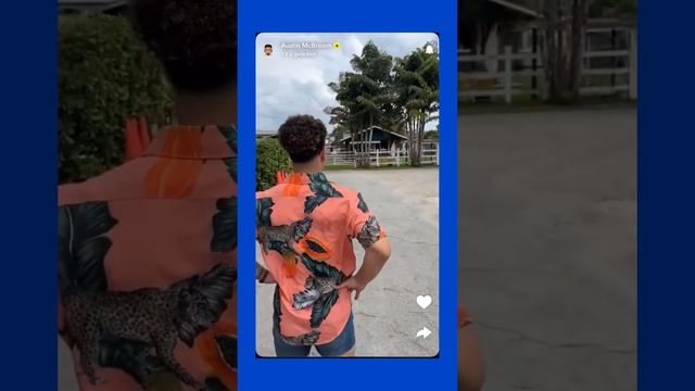 Austin Mcbroom in Miami Austin and Big Z go horseback riding 🐴🐎🏇 смотреть онлайн