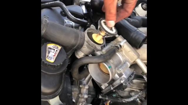 How to replace thermostat on Jaguar S type смотреть онлайн