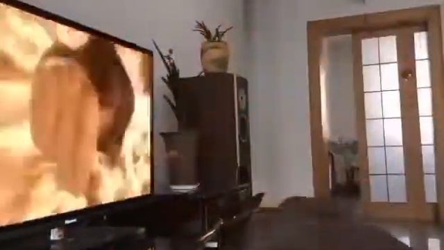 Продаю Телевизор 6D.Никак не могу к нему привыкнуть😁 смотреть онлайн