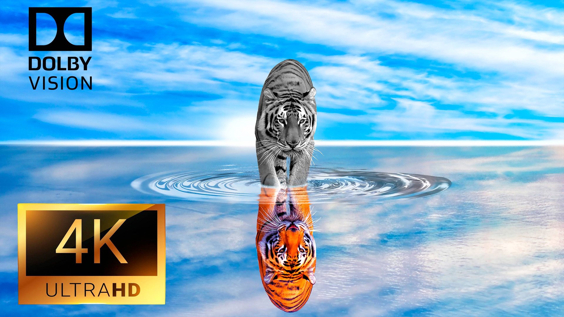 4K Video ULTRA HD 60 FPS - Best of 4K HDR Dolby Vision Atmos смотреть онлайн