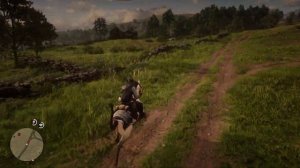 Red Dead Redemption 2. Е**чий табак и болтовая винтовка.