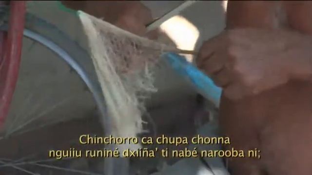 FOLKLORE MÉXICO/TRADICIONES TV INTERNET/PROGRAMA #11/19 NOVIEMBRE 2020 смотреть онлайн