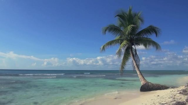 4k Video, 4k Video Test Of 4K Ultra HD Resolution Video: Bossa Nova Jazz 4K Music Video Nature