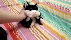 Котик-пищалка: Забавная плюшевая игрушка