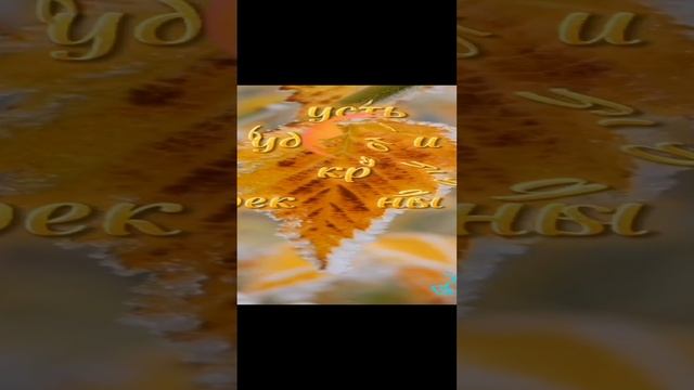 ##Счастливого ноября😍 смотреть онлайн