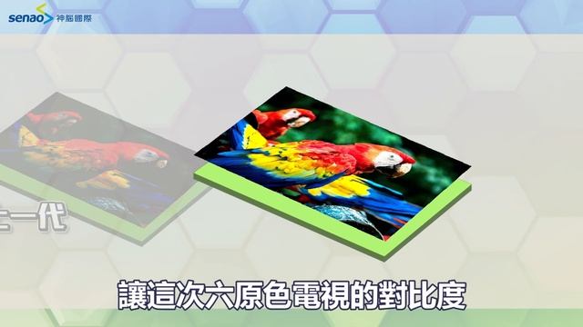 【商品介紹】支援杜比視界！Panasonic 國際牌最新「六原色」系列電視，尺寸特色功能解析～ смотреть онлайн