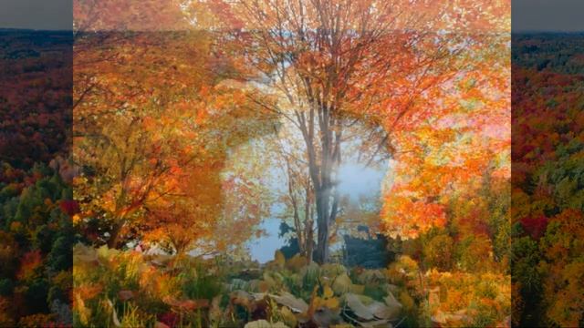 А.С. Пушкин "Уныла пора..." смотреть онлайн