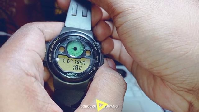 CASIO Vintage CPW-310 1V 1994-2022