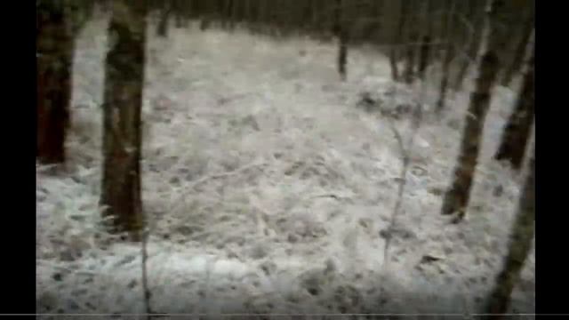 Тест дистанции в лесу  раций Motorola TLKR T50