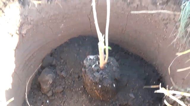 02.10.2024 Новости района смотреть онлайн