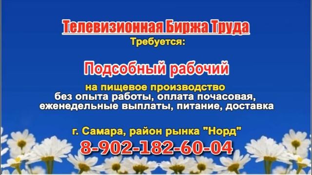 03.06.21 в 10.30-11.20 на ТВЦ ТБТ-Самара смотреть онлайн