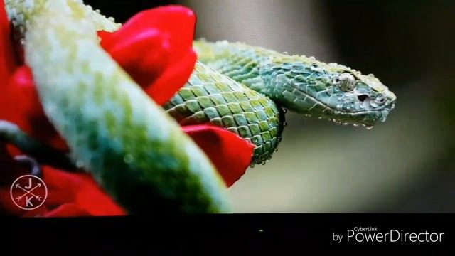 Sony 2017 40 inch LED KLV 40R352E Tv Unboxing and Review 2017 version смотреть онлайн