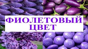 Изучаем цвета _ ФИОЛЕТОВЫЙ цвет _ Обучающий и развивающий мультик для детей _ Слушать онлайн