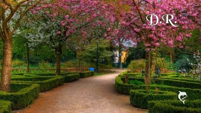 Perfidia смотреть онлайн