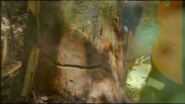 Мы рядом - Eco TV (2012 год) смотреть онлайн