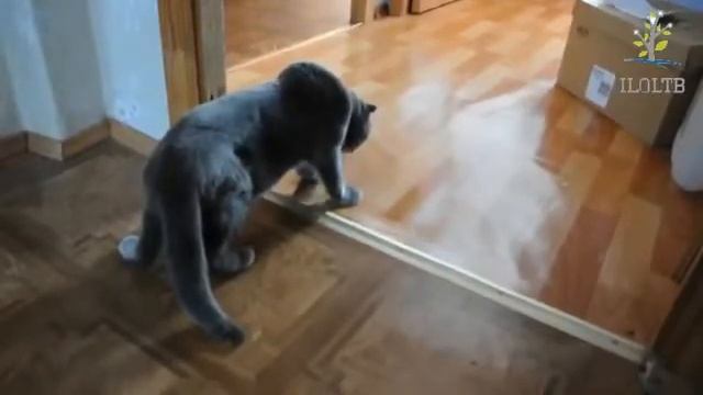 Когда ты пришел домой в гавно..)) смотреть онлайн