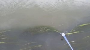 кастинговая сеть ф4м, 30-ка