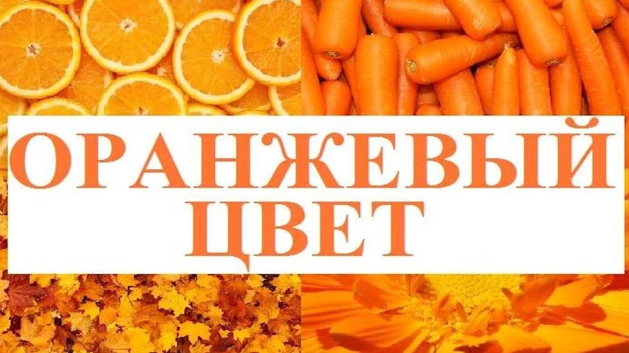 Изучаем цвета _ ОРАНЖЕВЫЙ цвет _ Обучающий и развивающий мультик для детей _ Слушать онлайн смотреть онлайн