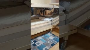 кабины Райха