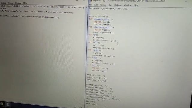 Игровая чертилка на Python