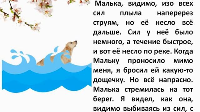 Василий Белов "Еще раз про Мальку" смотреть онлайн