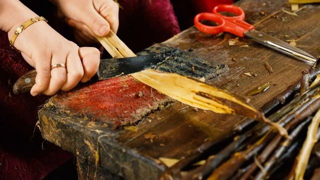 Яркие моменты второго дня в Узбекистане смотреть онлайн