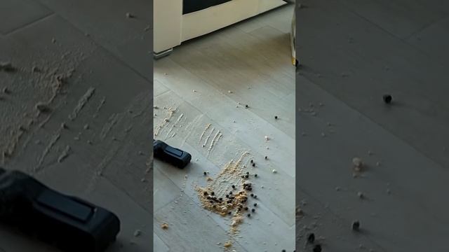 Как выбрать пылесос? #инструмент #ремонт #строительство смотреть онлайн