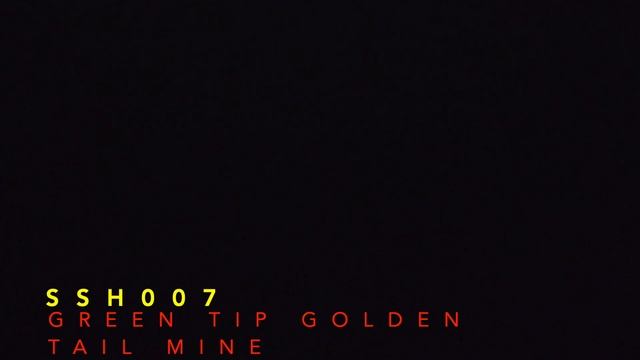 SSH 007 2" Green tip golden tail mine (MA) смотреть онлайн