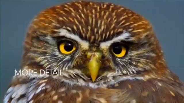 Sharp AQUOS Q+ Full HD LED TV - Highest Res Full HD TV смотреть онлайн