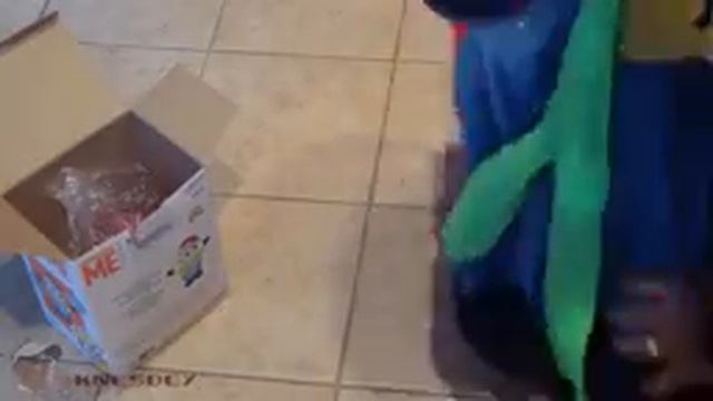 AIRBLOWN DESPICABLE ME MINION CARL BLOW UP CHRISTMAS YARD ORNAMENT смотреть онлайн