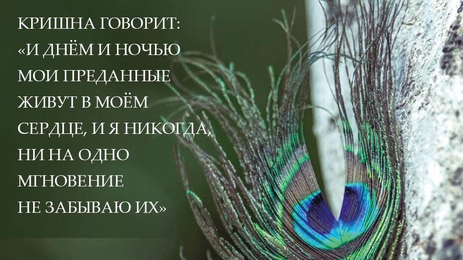 Вдохновение на Картику 2024 (день 15) от Е.С.Шачинандана Свами