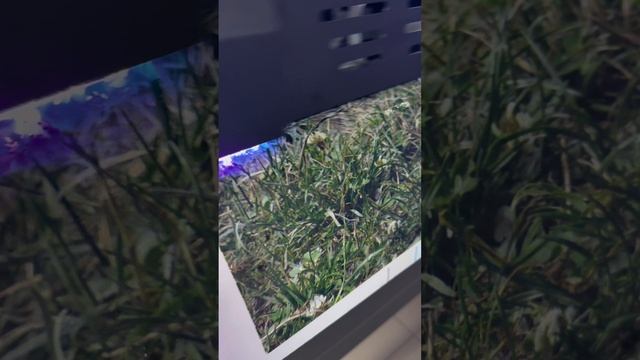 УФ-принтер KAIJO #vk #клип #kaijo #uv #уф #уфпечать #уфпринтер смотреть онлайн