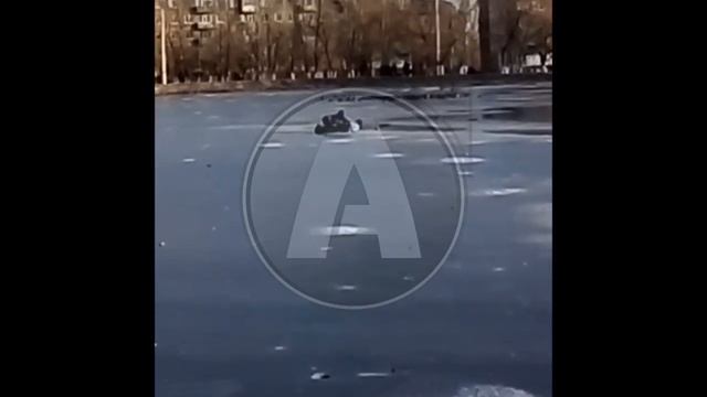 Дети провалились под лед в Житикаре 10.11.19 смотреть онлайн