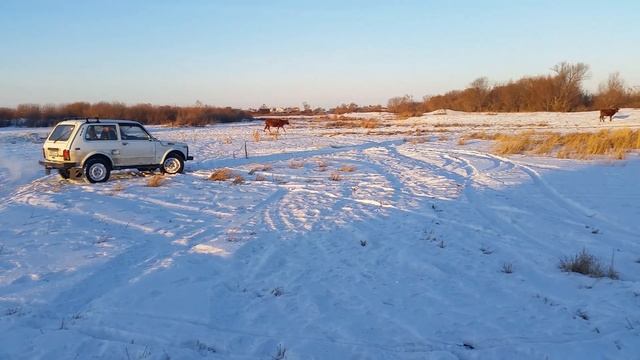 ленино нива по буграм смотреть онлайн