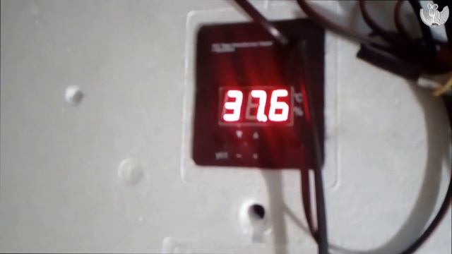 #Терморегулировка #бытового #инкубатора #НЕСУШКА 64 ВГ смотреть онлайн