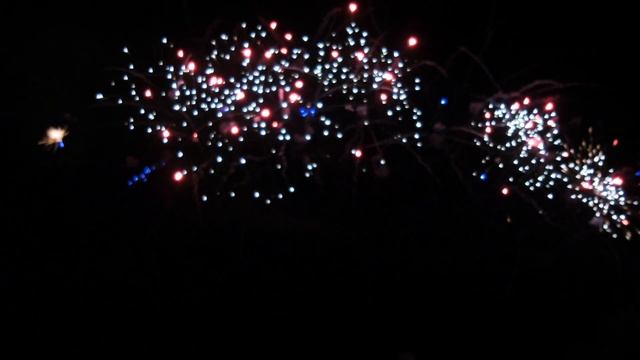 CP303 Blue tail blast red dahlia w white strobe (1.2"x49) смотреть онлайн