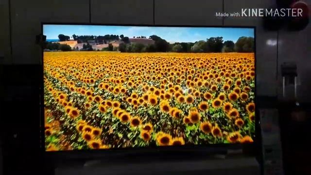 NUEVAS TERNOLOGIA DE TELEVISORES OLED TV 4K. 2020 смотреть онлайн