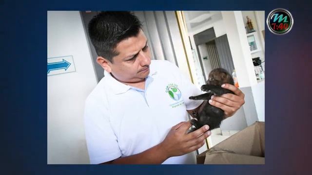 MAGAZIN 7:40 TV. LAS NOTICIAS DEL CAQUETÁ смотреть онлайн