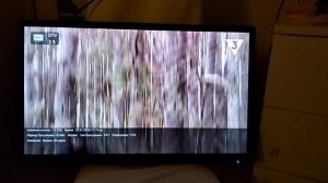 телевизор Mystery 24 дюйма