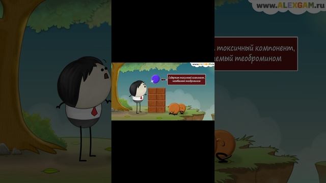 Почему собакам нельзя есть шоколад? смотреть онлайн