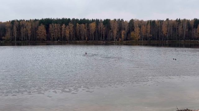 Моржую в Электростали в городском пруду