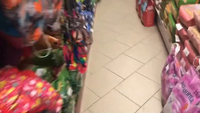 Влог/ Покупки/ ходим по магазинам 🛍/ реакция собачек на мини вентилятор/ 27.10.21 🫐🥥🌺 смотреть онлайн